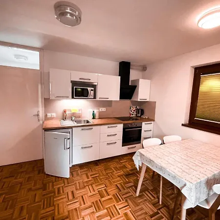 Mad House Apartment 1, Terme Catez Catez ob Savi Exterior photo