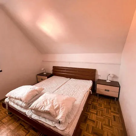 Mad House Apartment 1, Terme Catez Catez ob Savi Exterior photo
